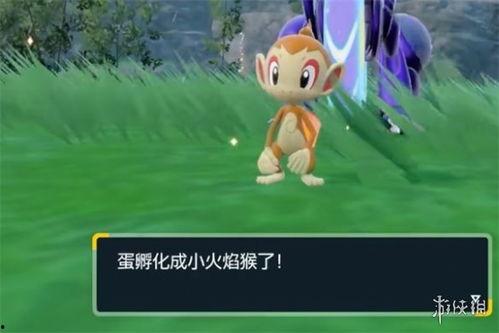 朱紫dlc最新爆料  第2张